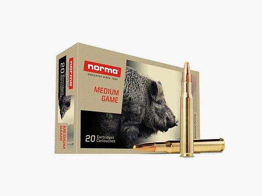 NORMA .30-06 Plastic point 11,7g/180gr