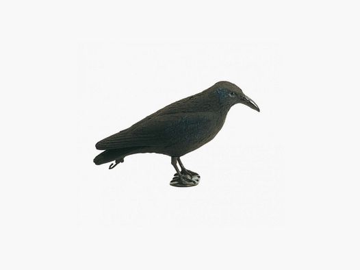 Appelant corbeau