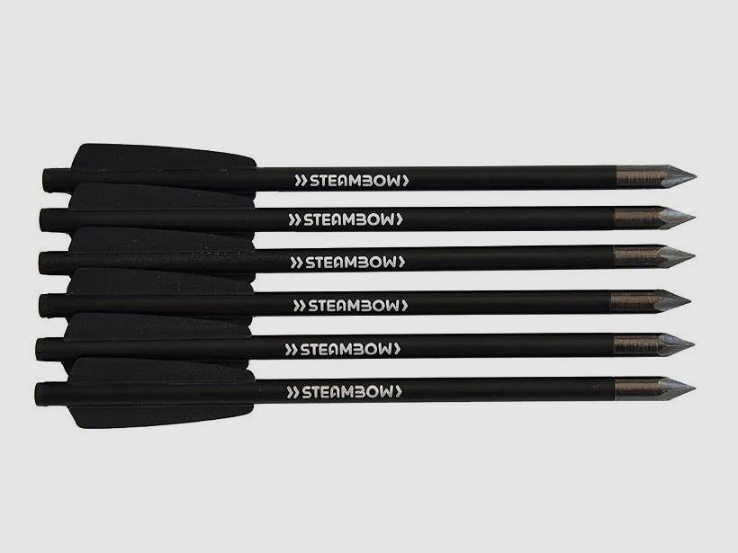 Zestaw 6 strzał Stinger Bodkinpfeile Steambow