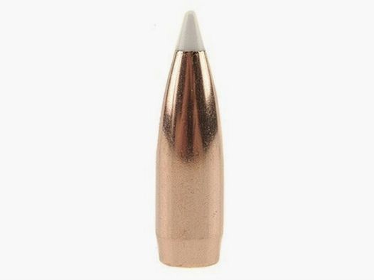 Nosler Geschoss Accubond .338/.338 180GR Spitzer 50 Stück