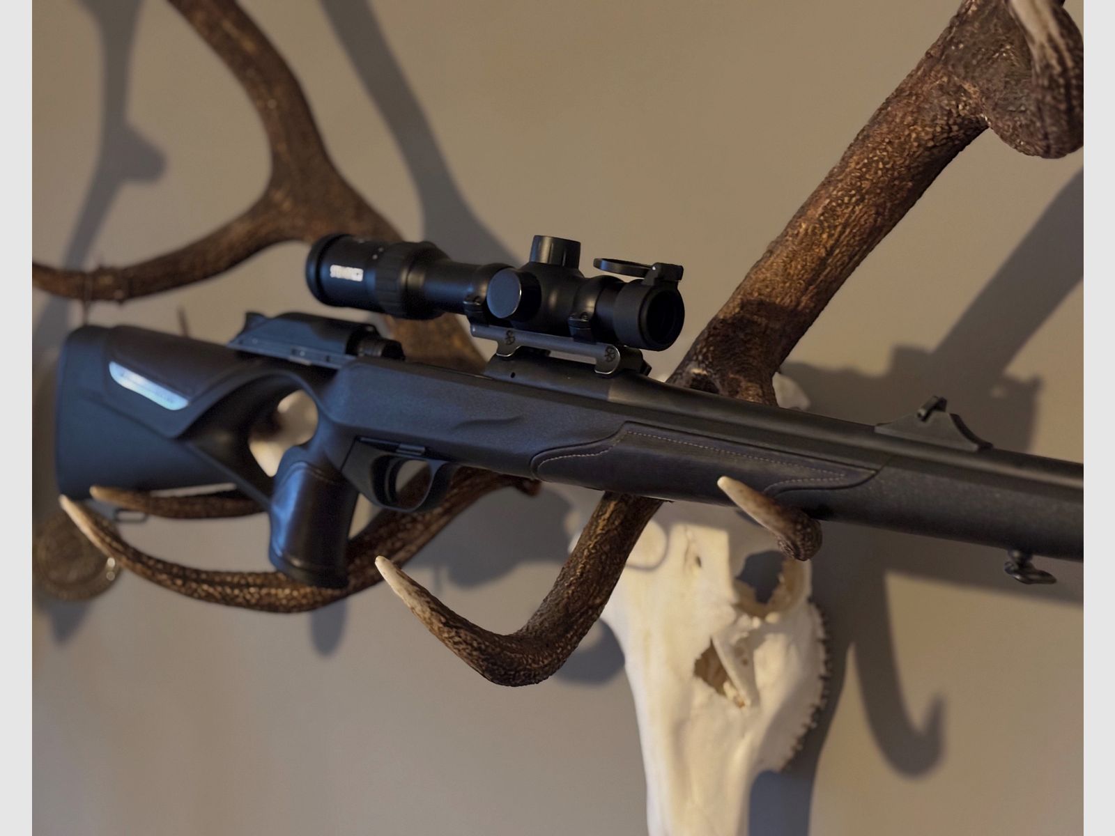 Blaser R8 cuero soporte / ÉXITO profesional.