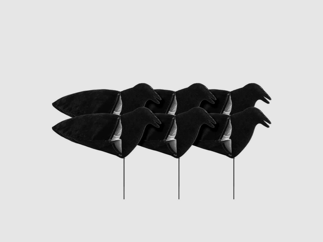 Active Sillosock Crow Shapes x6, image 1 of 3