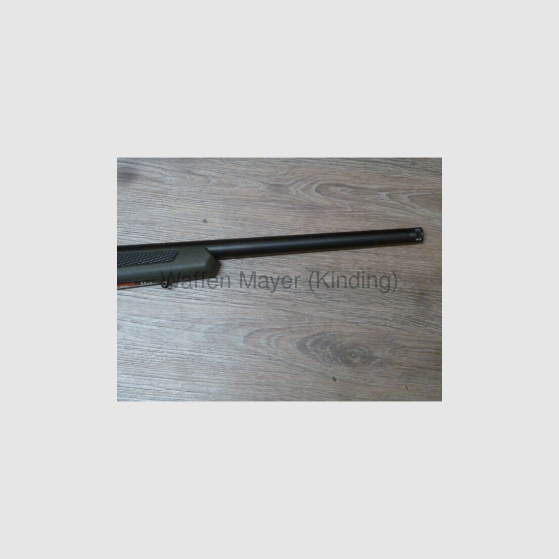 Chasseur de HOG Sauvage