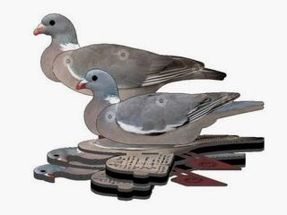 FUD LOCKTAUBE 6 Stück flexibel Top Fold Up Decoy von NRA
