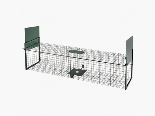 the Lake Passion Box Trap |