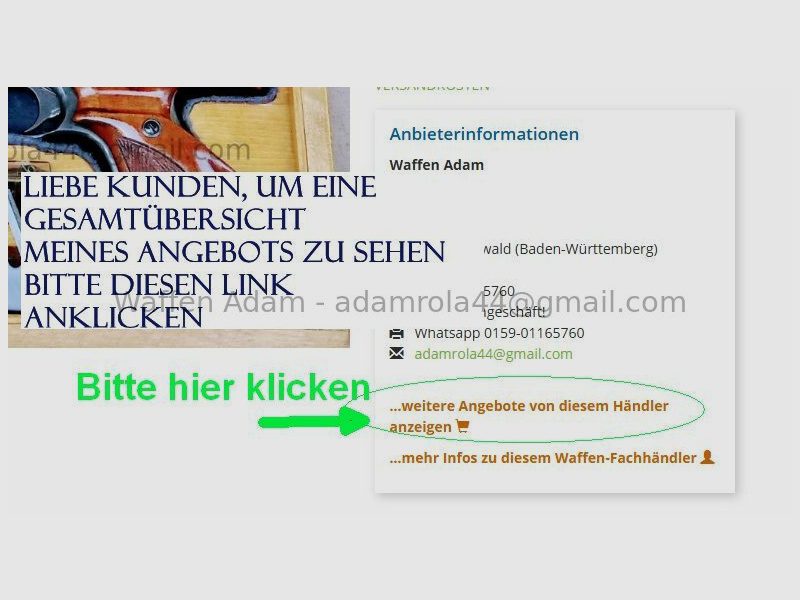 Walther Pocket Pistol Model 1