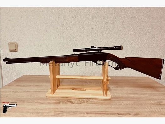 Winchester Mod. 250 .22lr