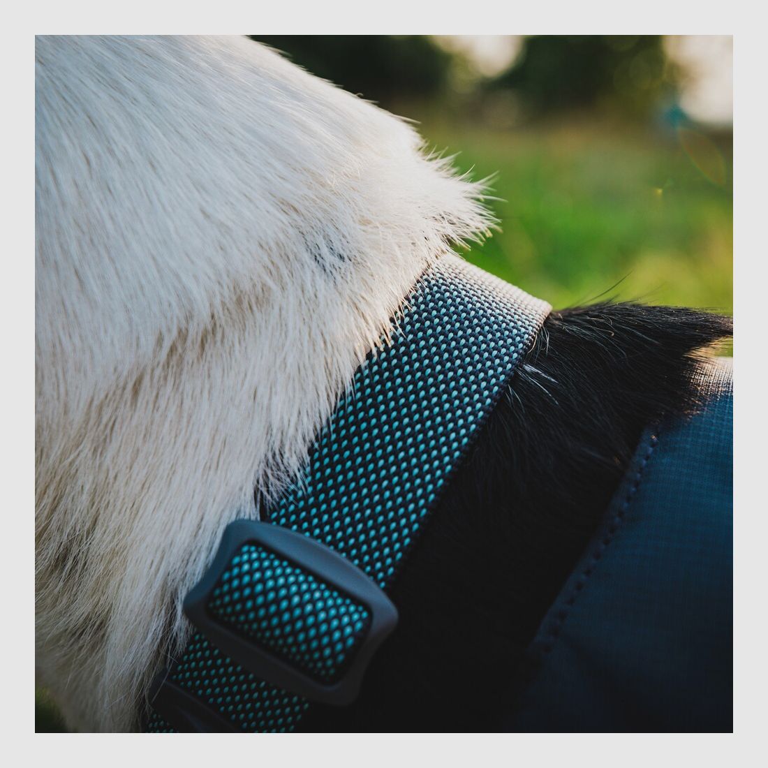 Ruffwear Collar Hi & Light (Neck circumference 28-36 cm – Basalt Gray), imagen 4 de 4