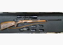 Steyr Mannlicher M