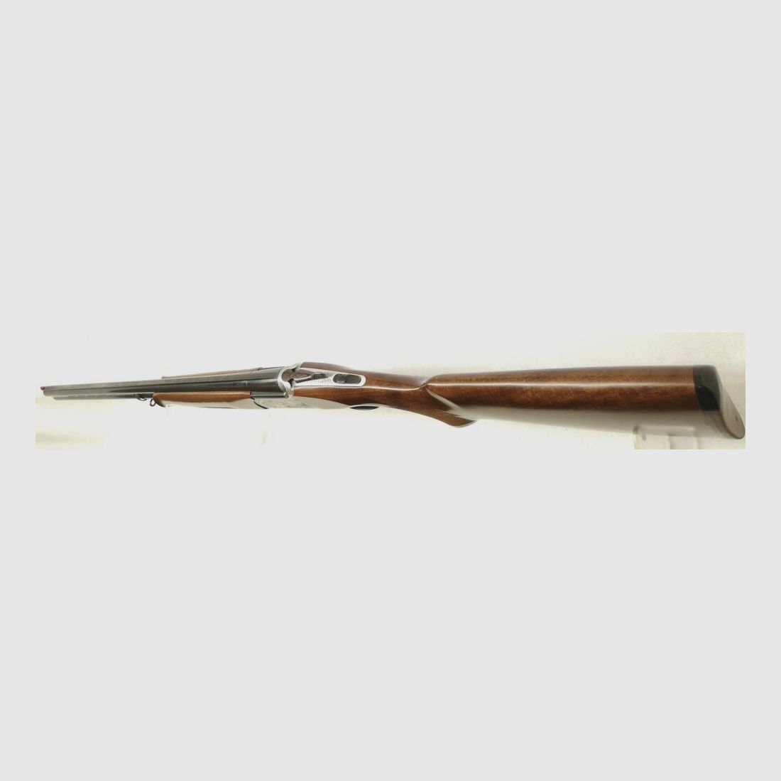 Rizzini zonder