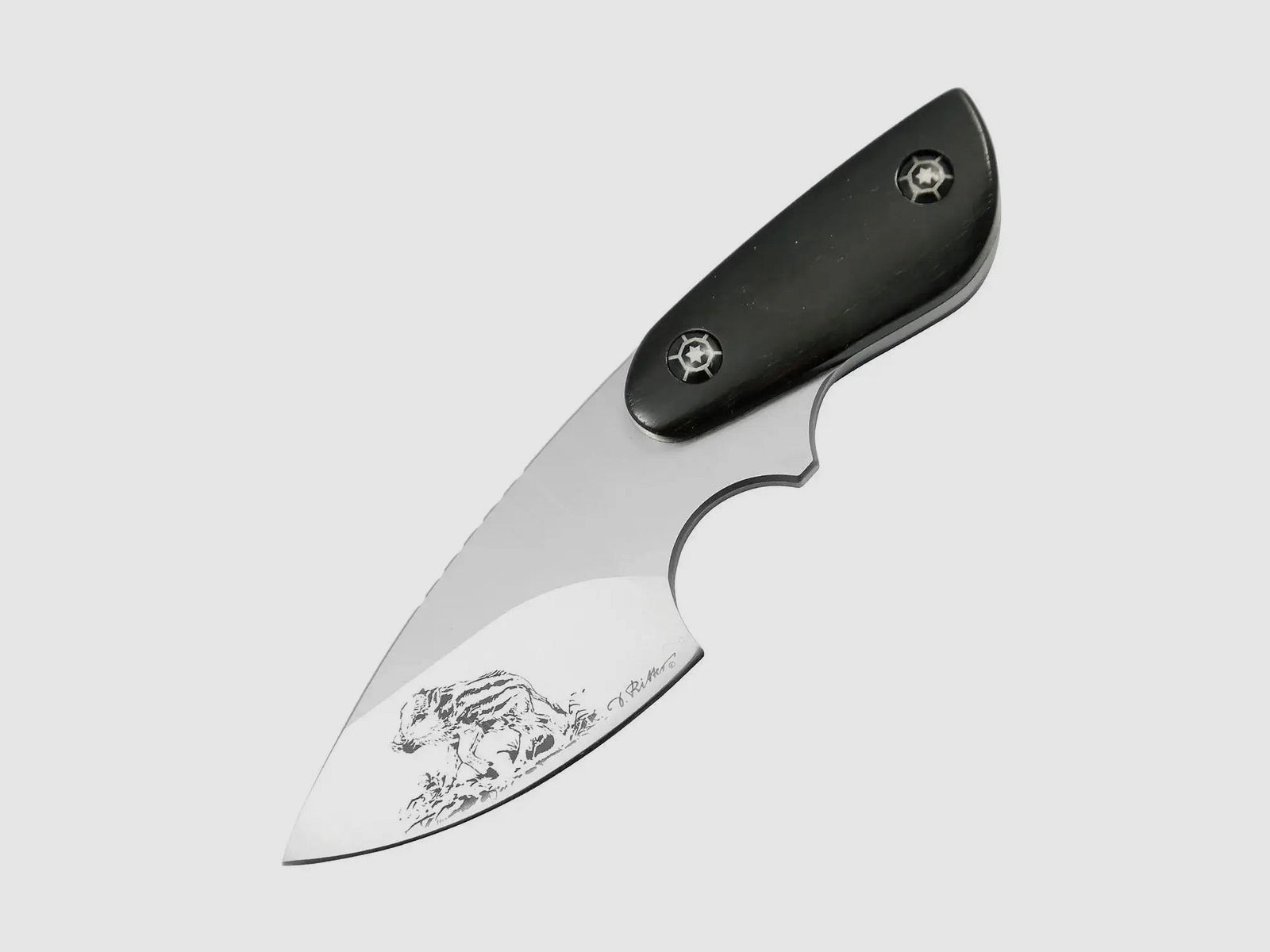 PUMA IP sanglier, ébène, couteau de cou