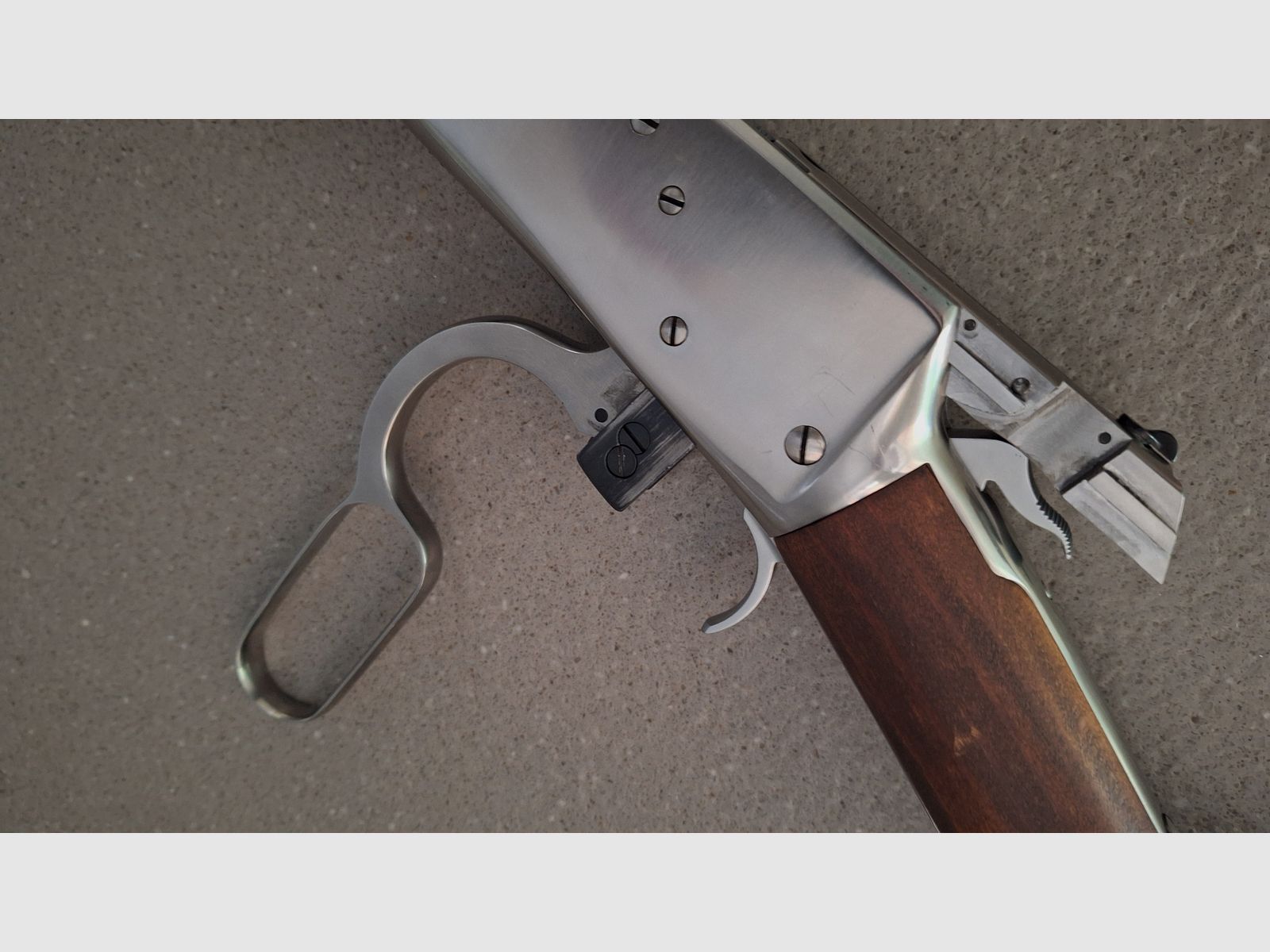Puma Octagonal, Rossi .44 Magnum 24 inch stainless con Burris Fastfire 3