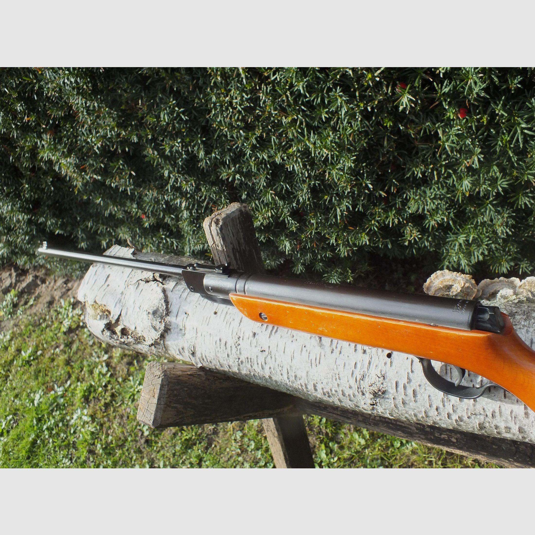Haenel 300, le pionnier pliant de Suhl !