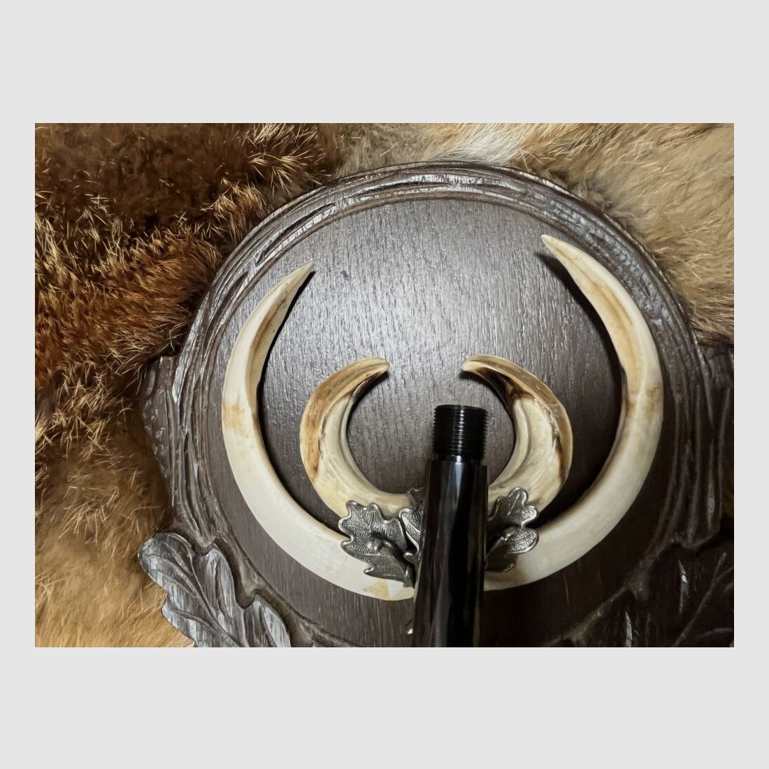 Steyr Mannlicher SBS