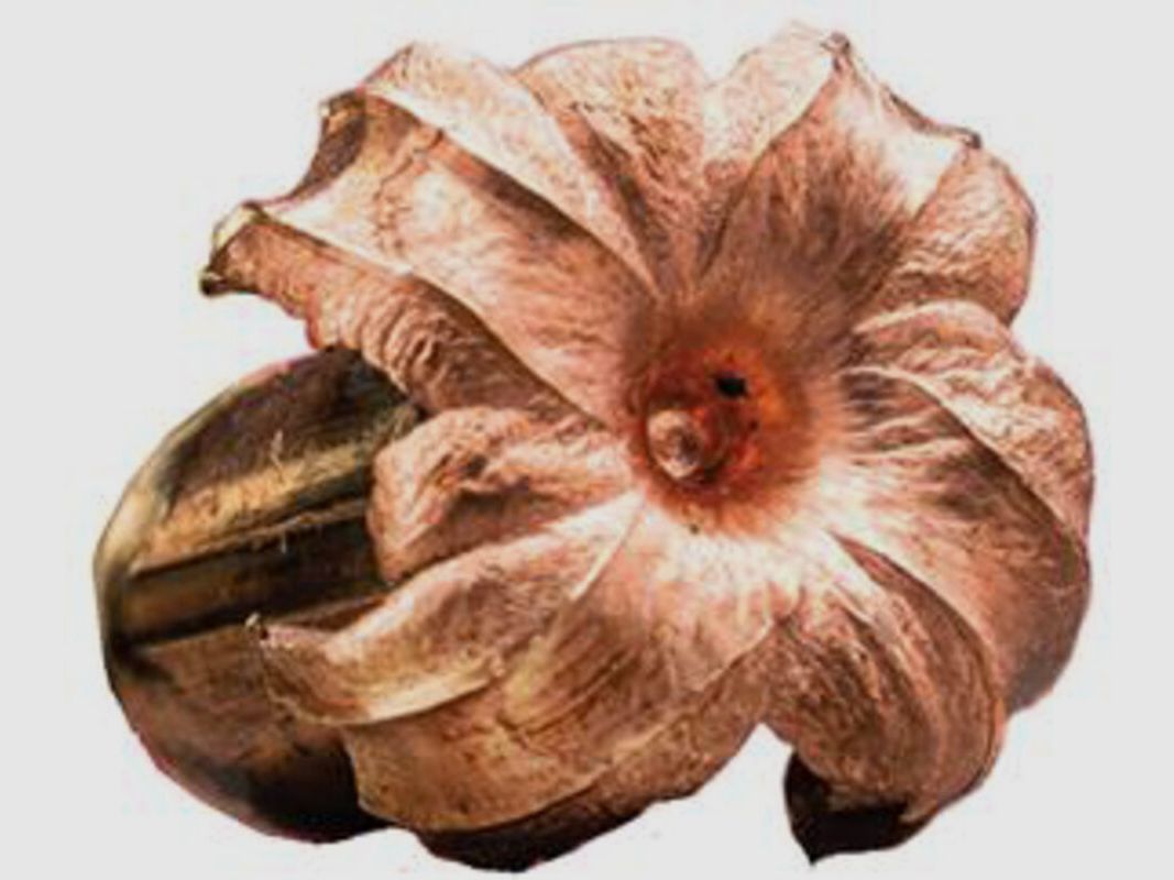 Winchester Extreme Point Copper Impact 150grs - 20 pcs.