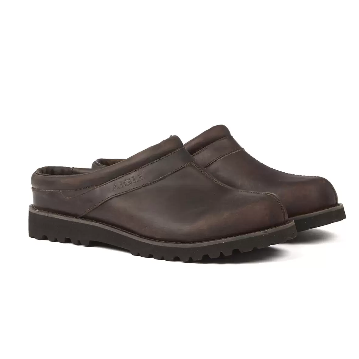 Aigle Guiren/Basilo