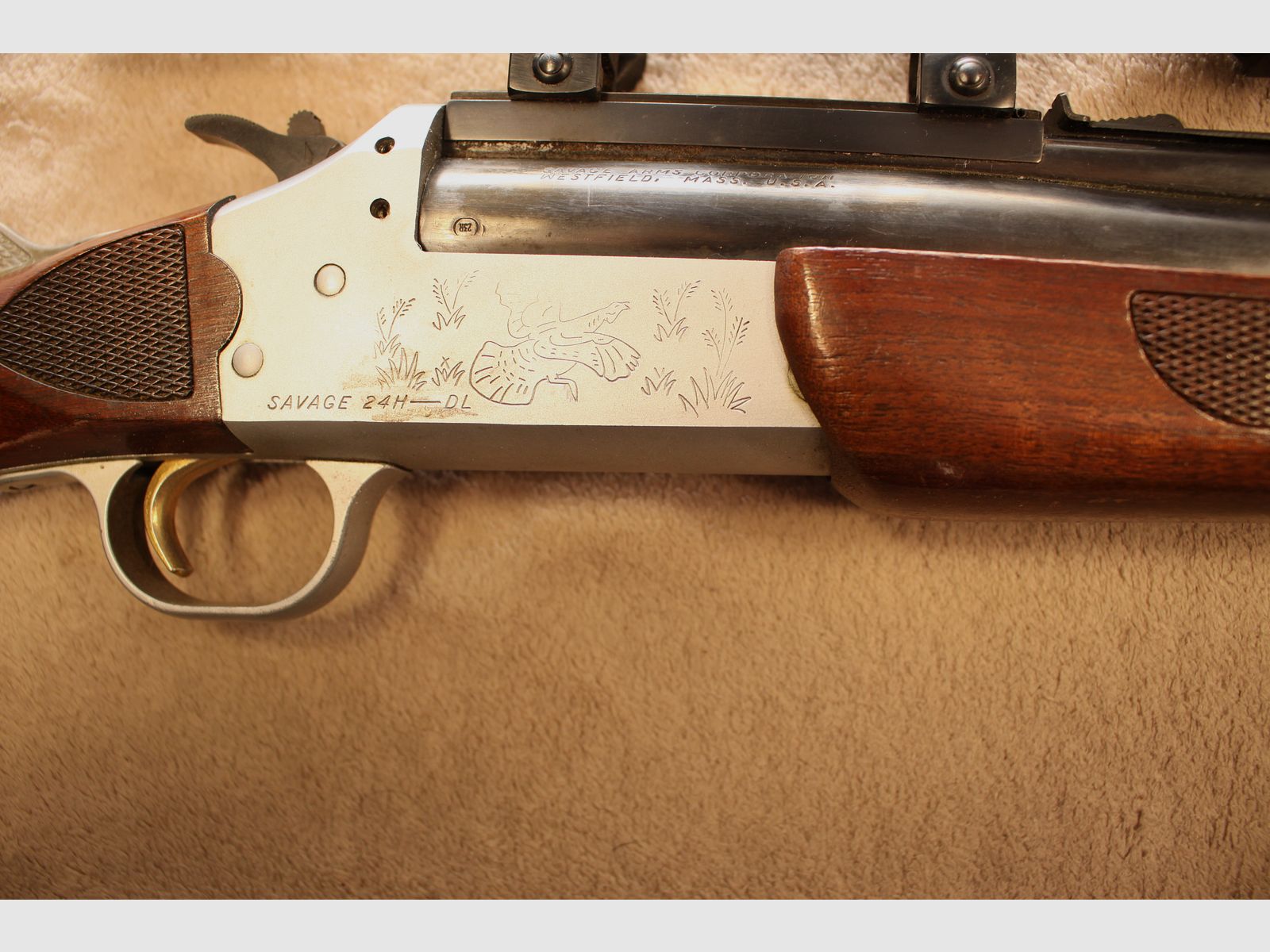 Sachonzeit BBF de Savage.