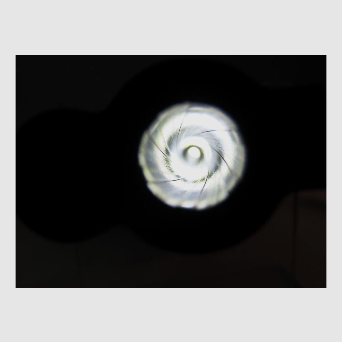 Colt Python 6"Zoll aus 1971