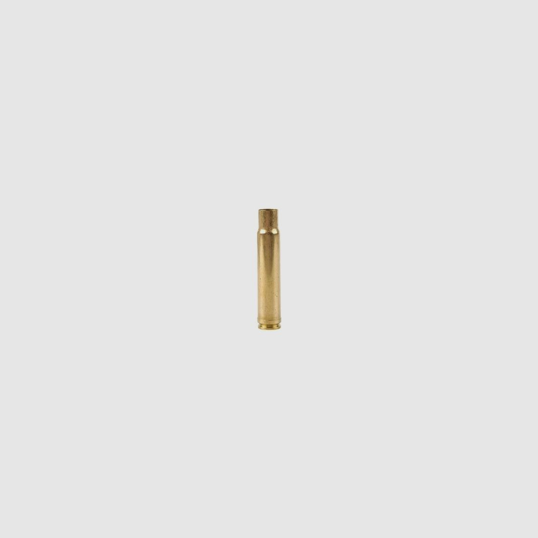 Weatherby Hülsen .460 Wby. Mag. 20 Stück