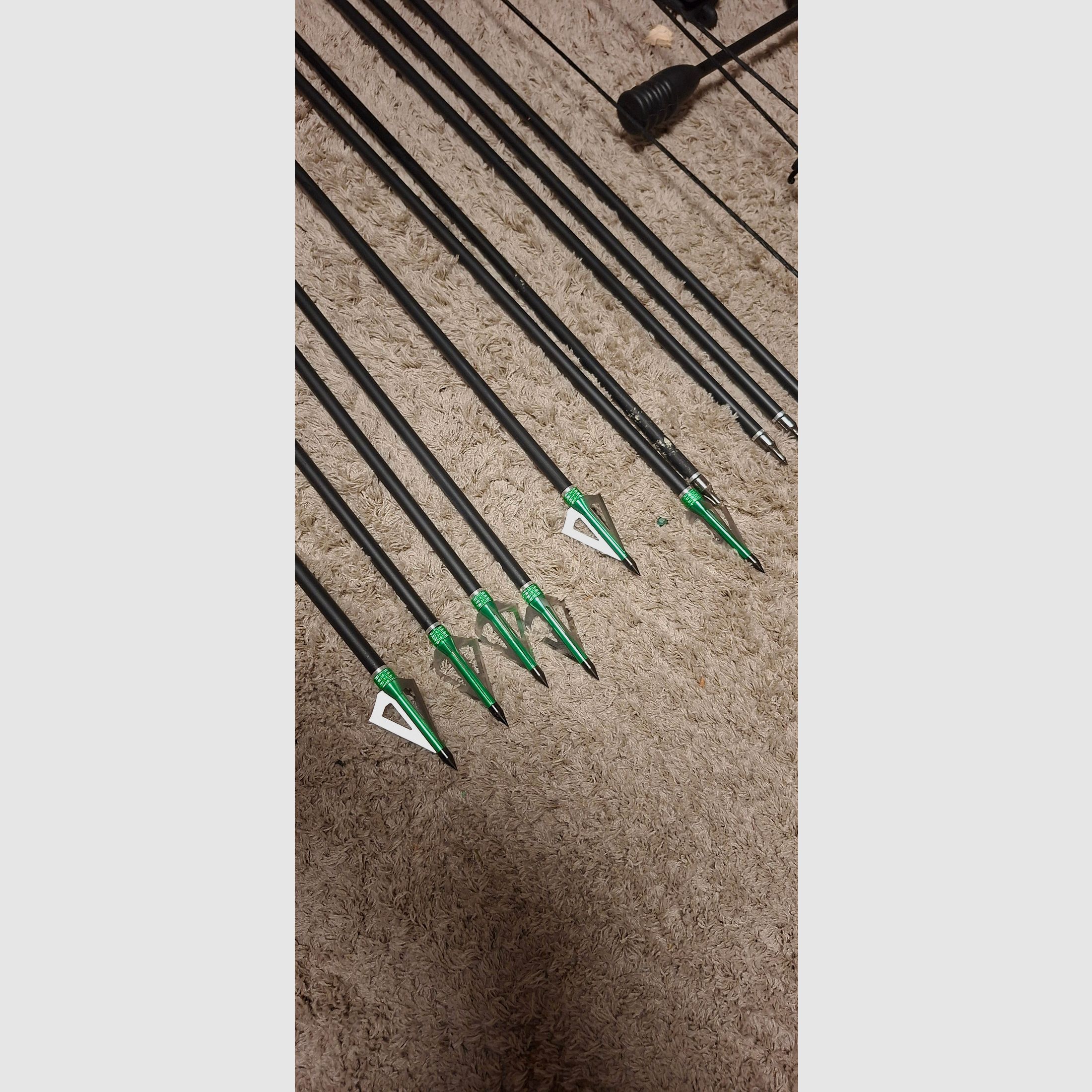 Compound Bow