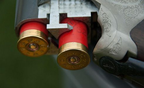 Bleifreie Flintenjagd ohne Stahlschrotbeschuss