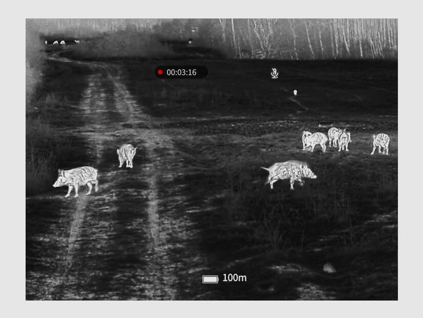 Guide sensmart Wärmebild-Vorsatzgerät Guide TB630 LRF