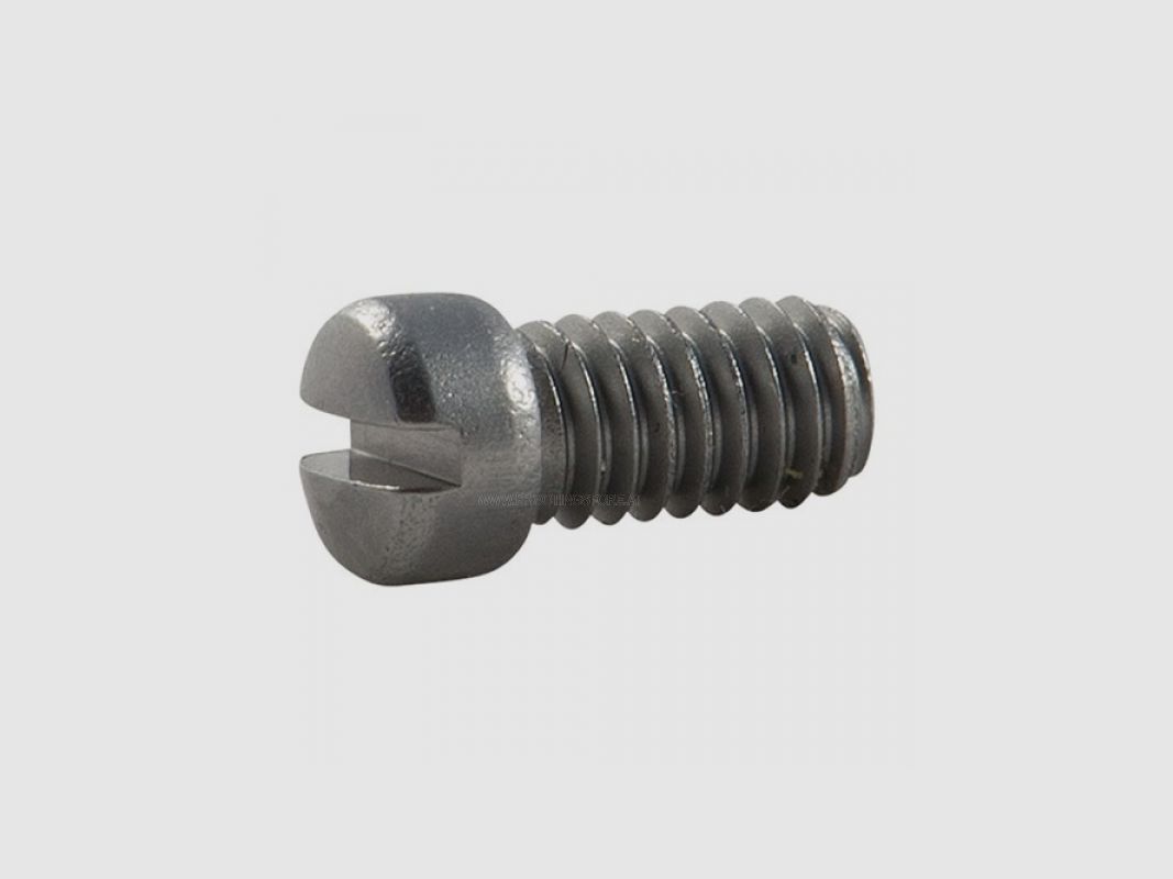 S+W SIDE PLATE SCREW J/K/L/N/X- FRAME GLASS BEADED
