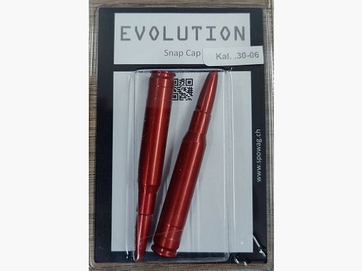Dummy Alu cal. .30-06