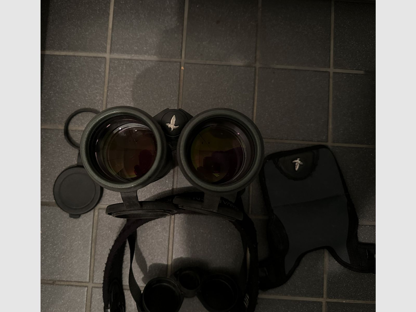 Swarovski EL 12 x 50 SV - used & in good condition