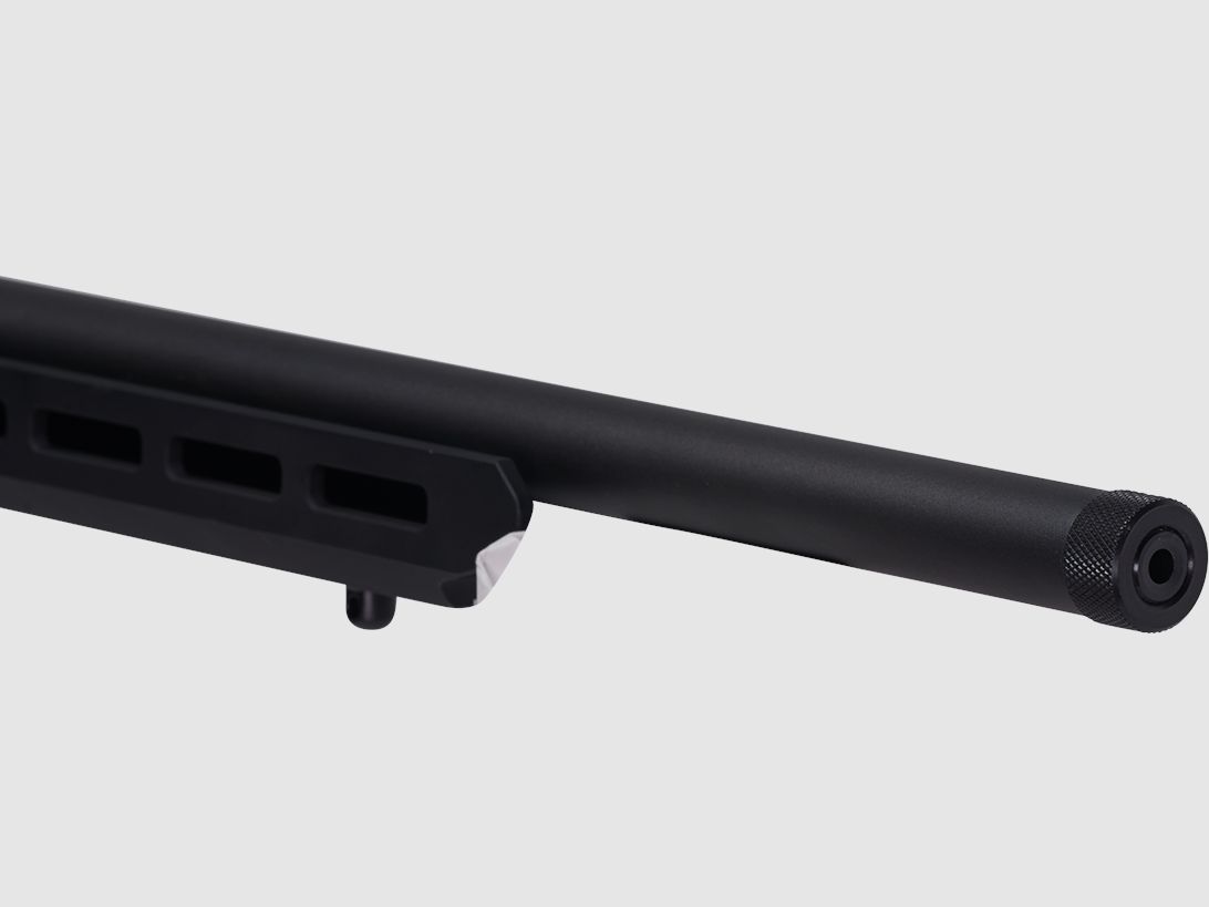 Savage Firearms B22 Precision 18"/46cm .22 LR Repetierbüchse