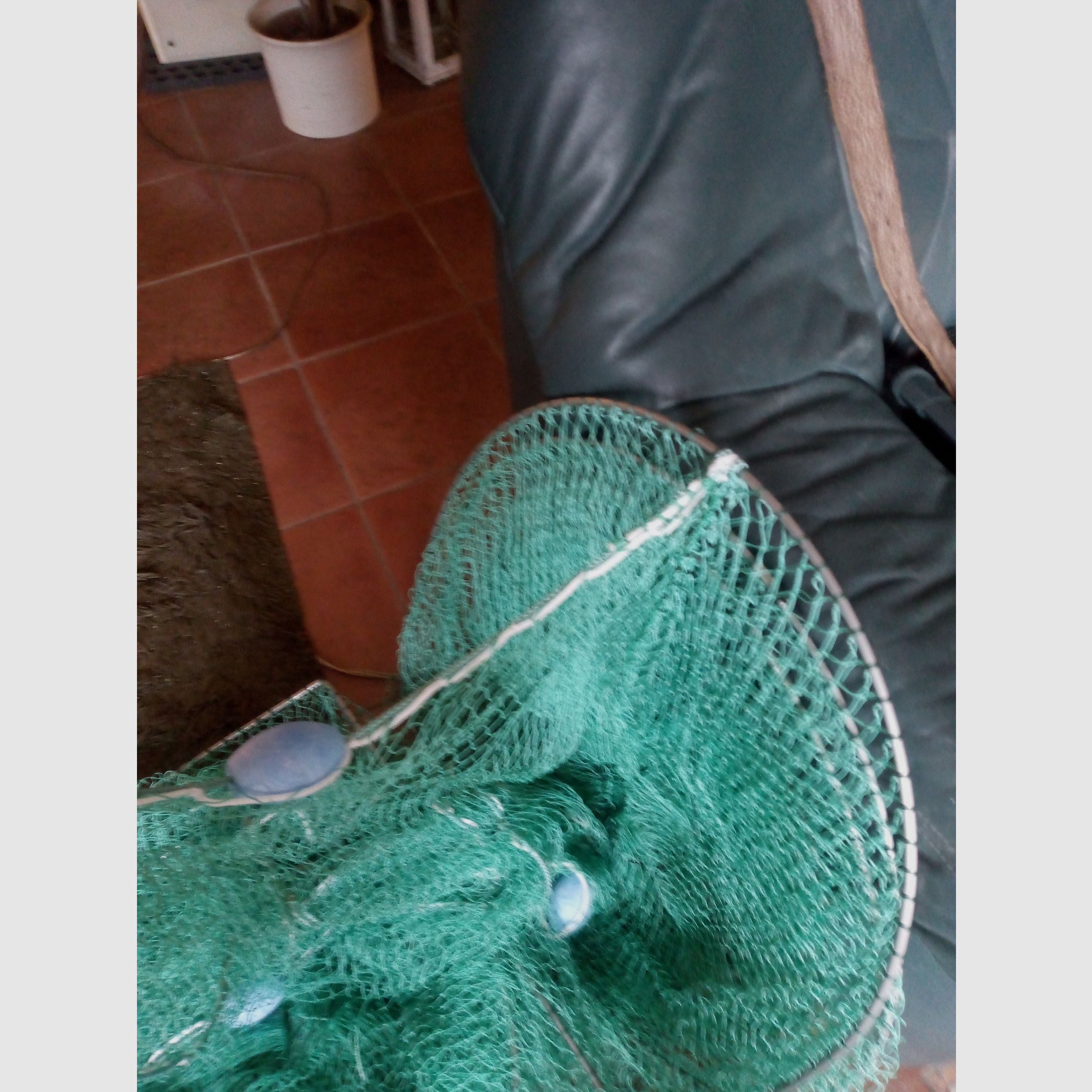 Anguila y reutilización de pescado 60 cm doble viaje