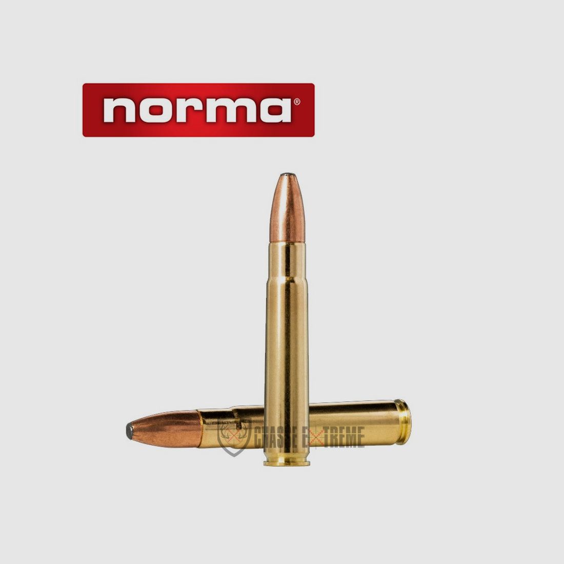 20 Patronen NORMA Kal. 9,3x57-232gr Oryx