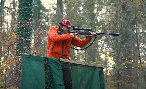 Drückjagd-Guide: So verhältst du dich richtig auf der Drückjagd