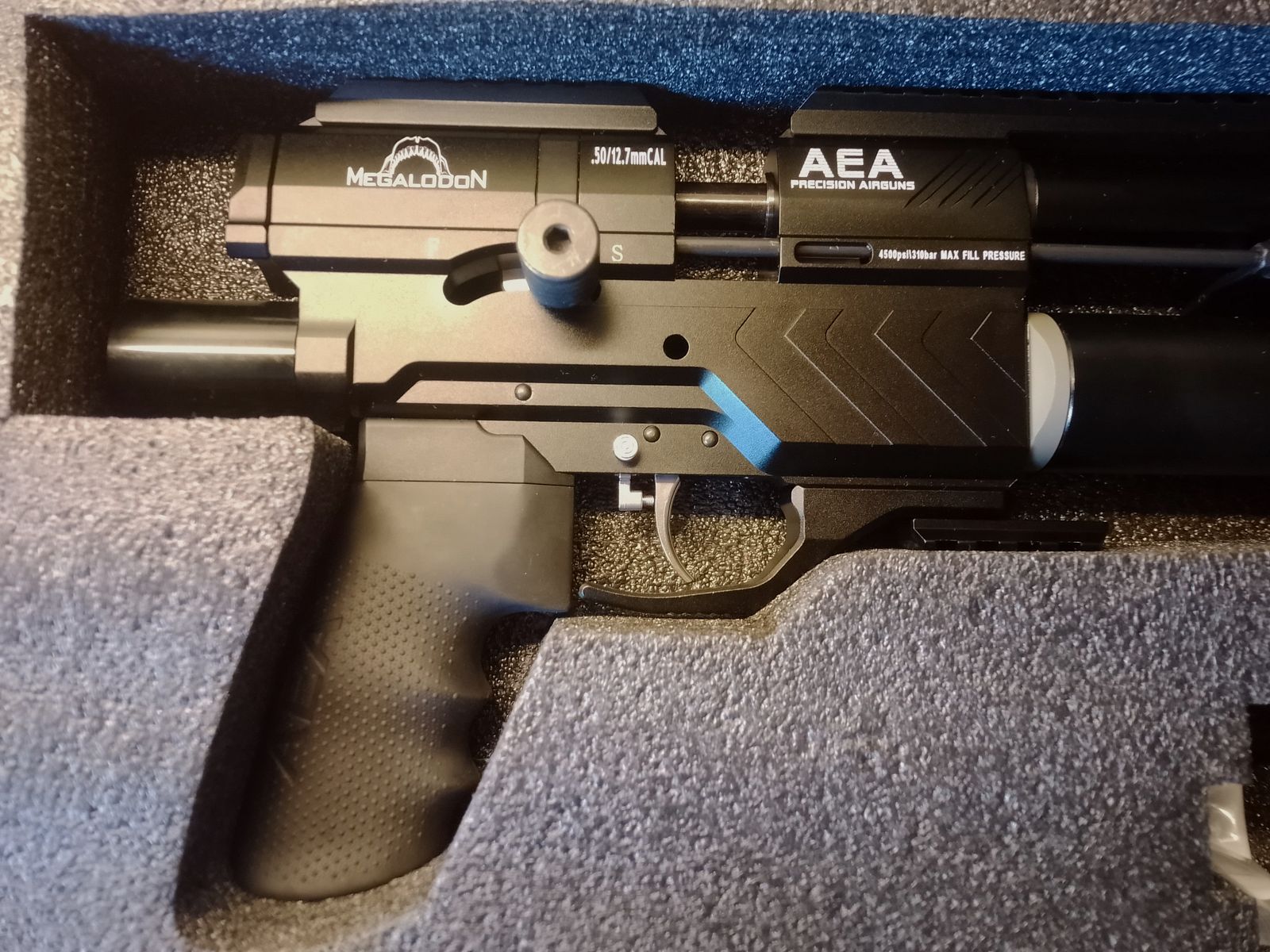 AEA Megalondon, imagen 2 de 6
