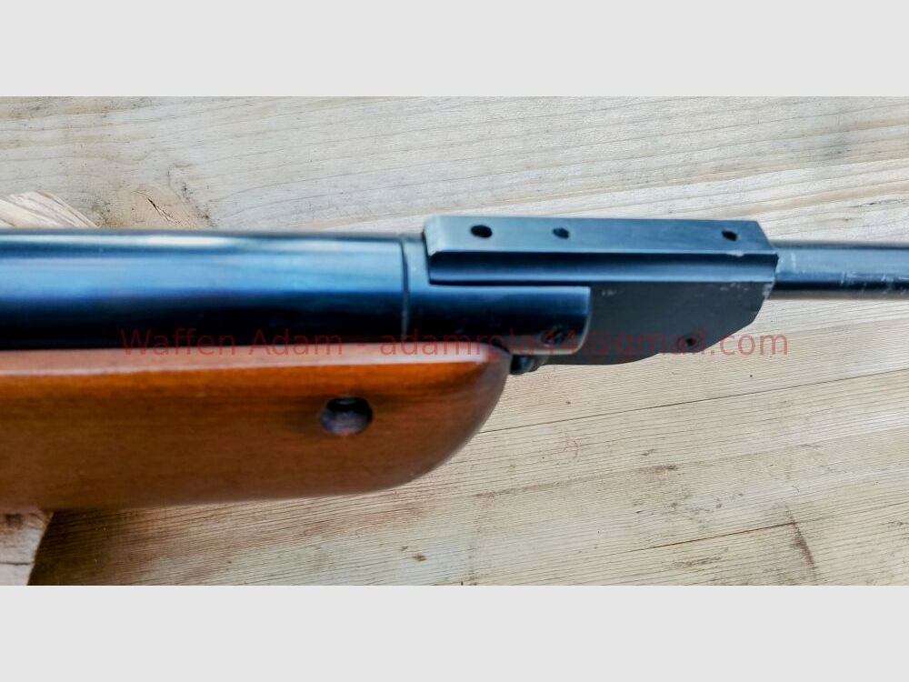 Walther LG 55