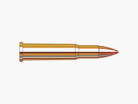 Hornady KM LE .30-30 win FTX 160 grain