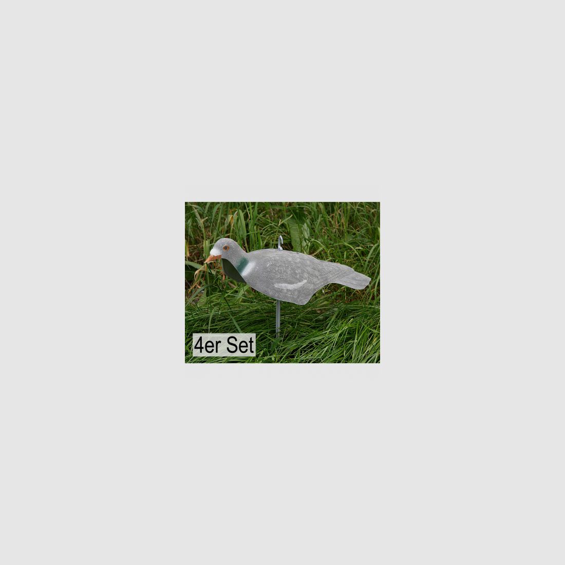 il Lago Passion Ringeltaube Halbschale beflockt (4er Set) |
