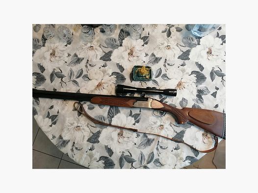 BBF a. Zoli 7x65R 12/70 mit ZF 6x42