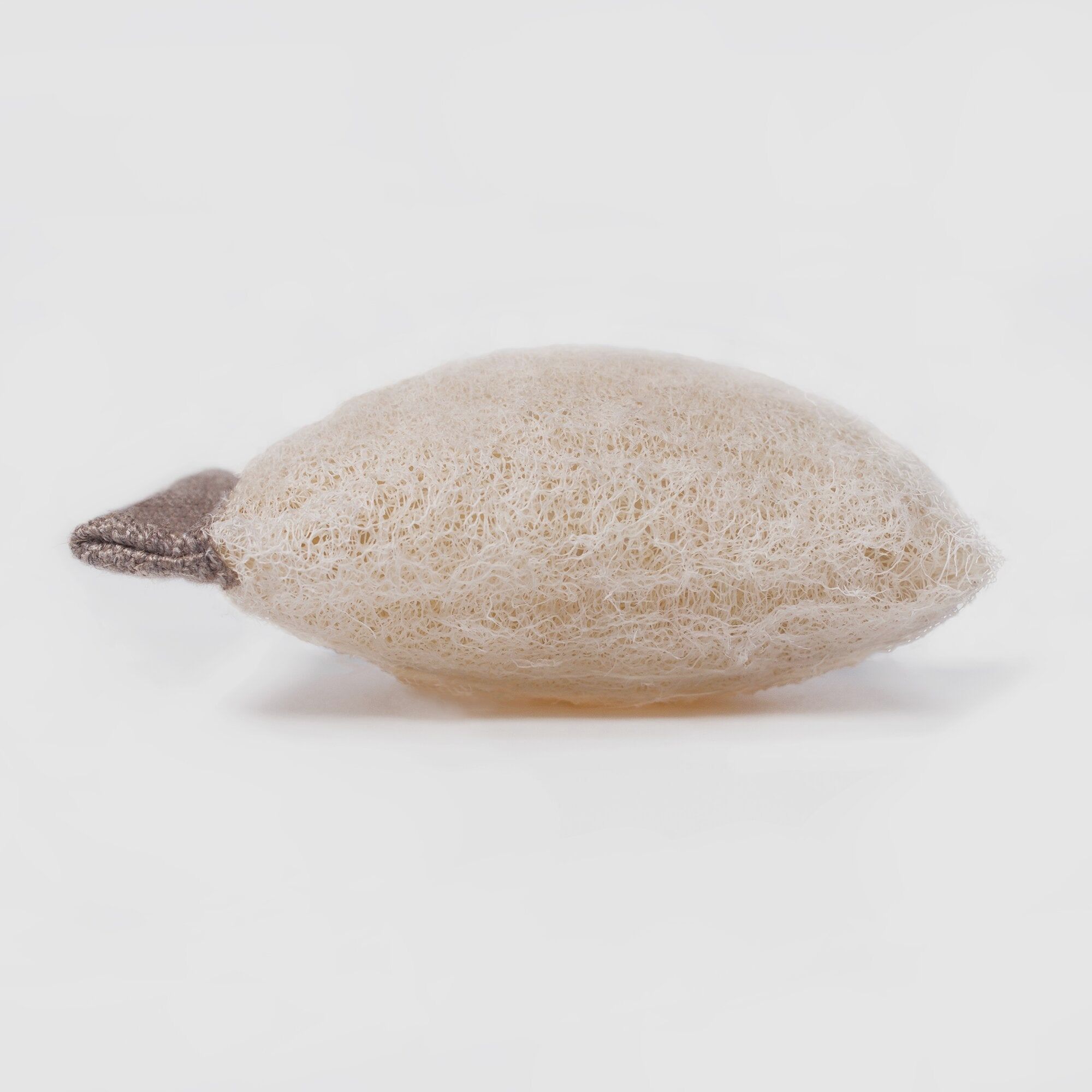 Clearo Spugna Luffa e Supporto per Detergenti Solidi, immagine 4 di 12