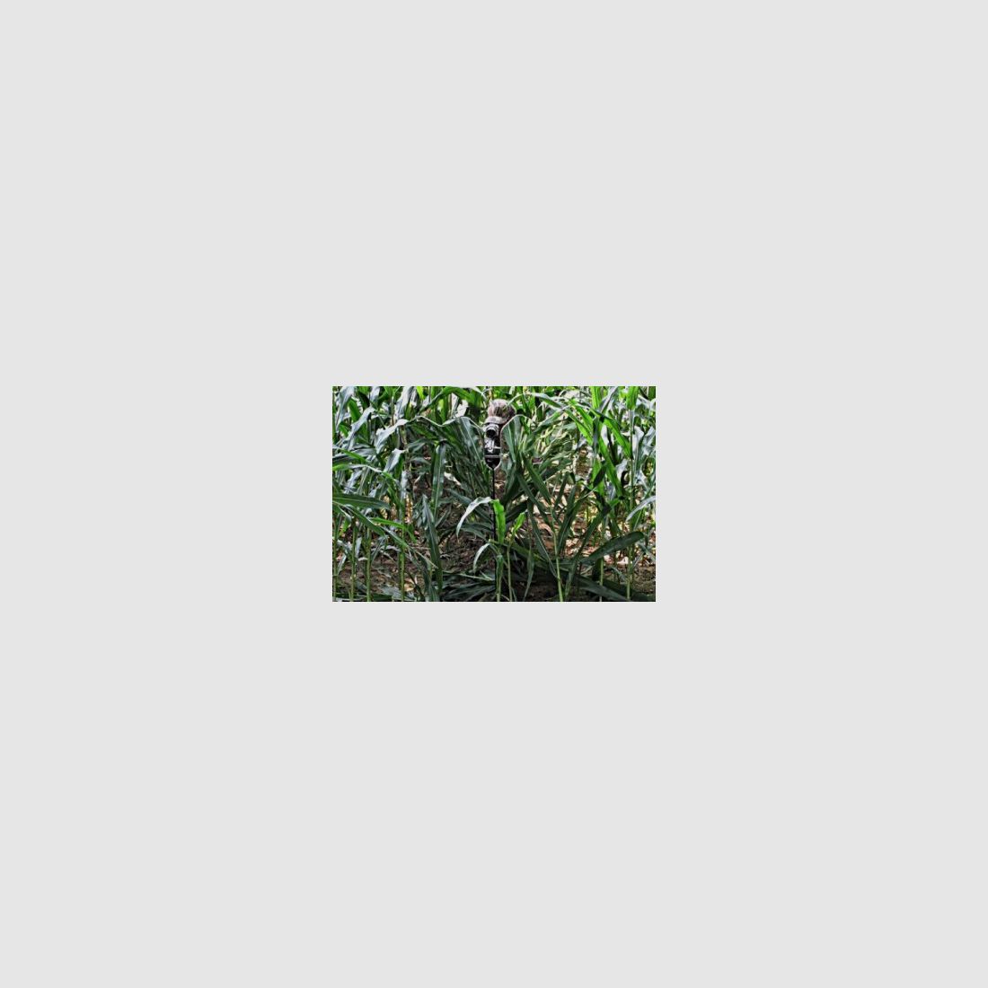 GhostBlind 4 Panel Predator - Écran de camouflage miroir