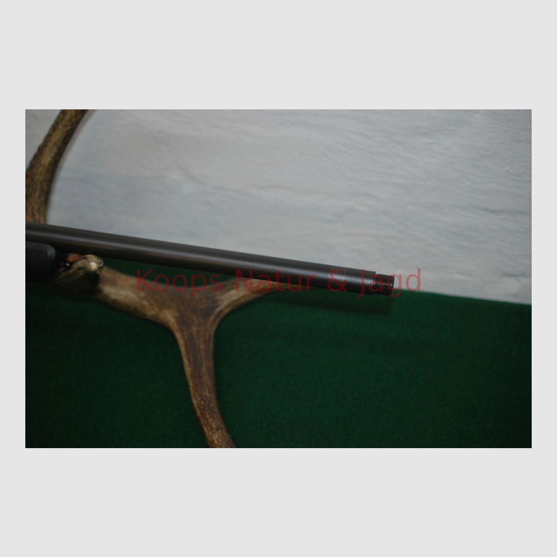 Blaser R8 Professional Success