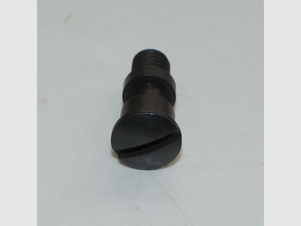 Weapon Factory Bern Used Cover Plate Screw for Swiss Service Revolver 1882