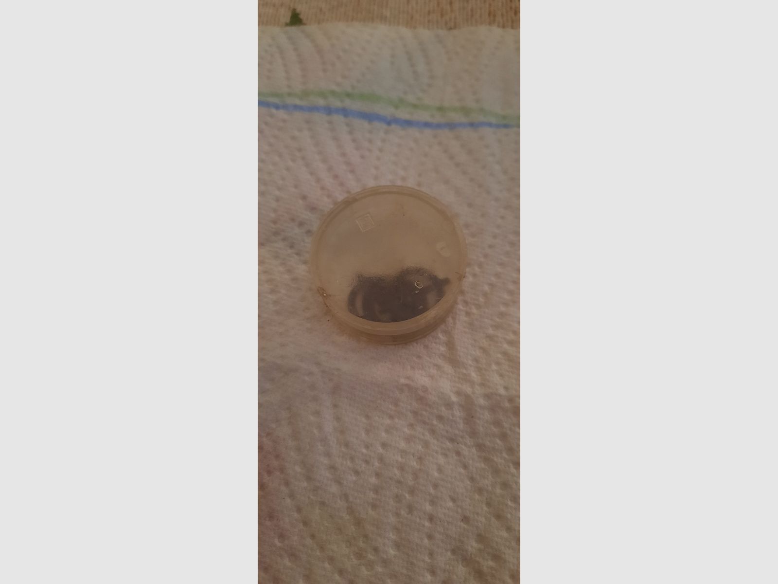 Diopter Haenel 312 DDR/ Exportfeder / Ring- Balkenkörner