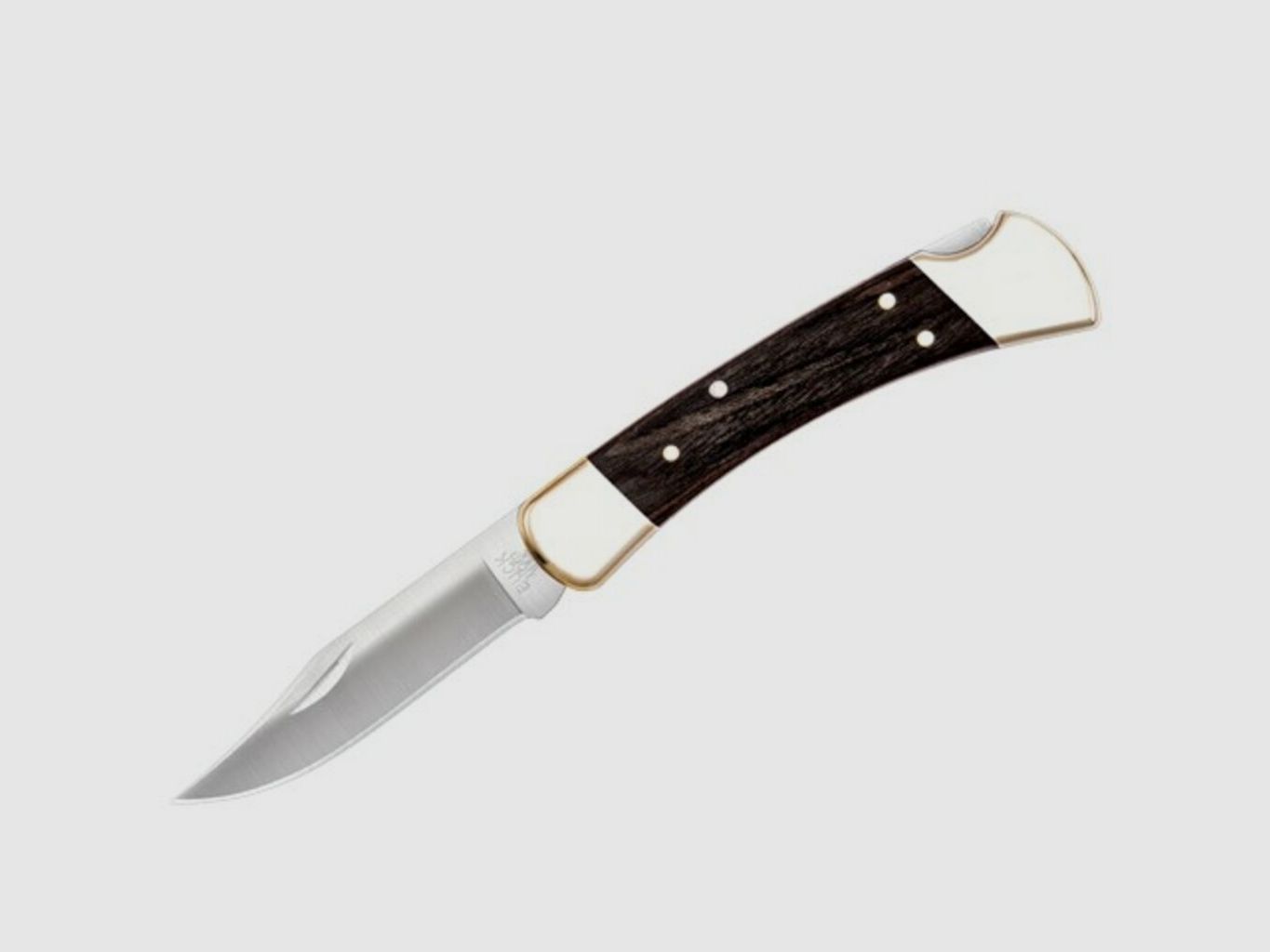 Buck 110 Folding Hunter®
