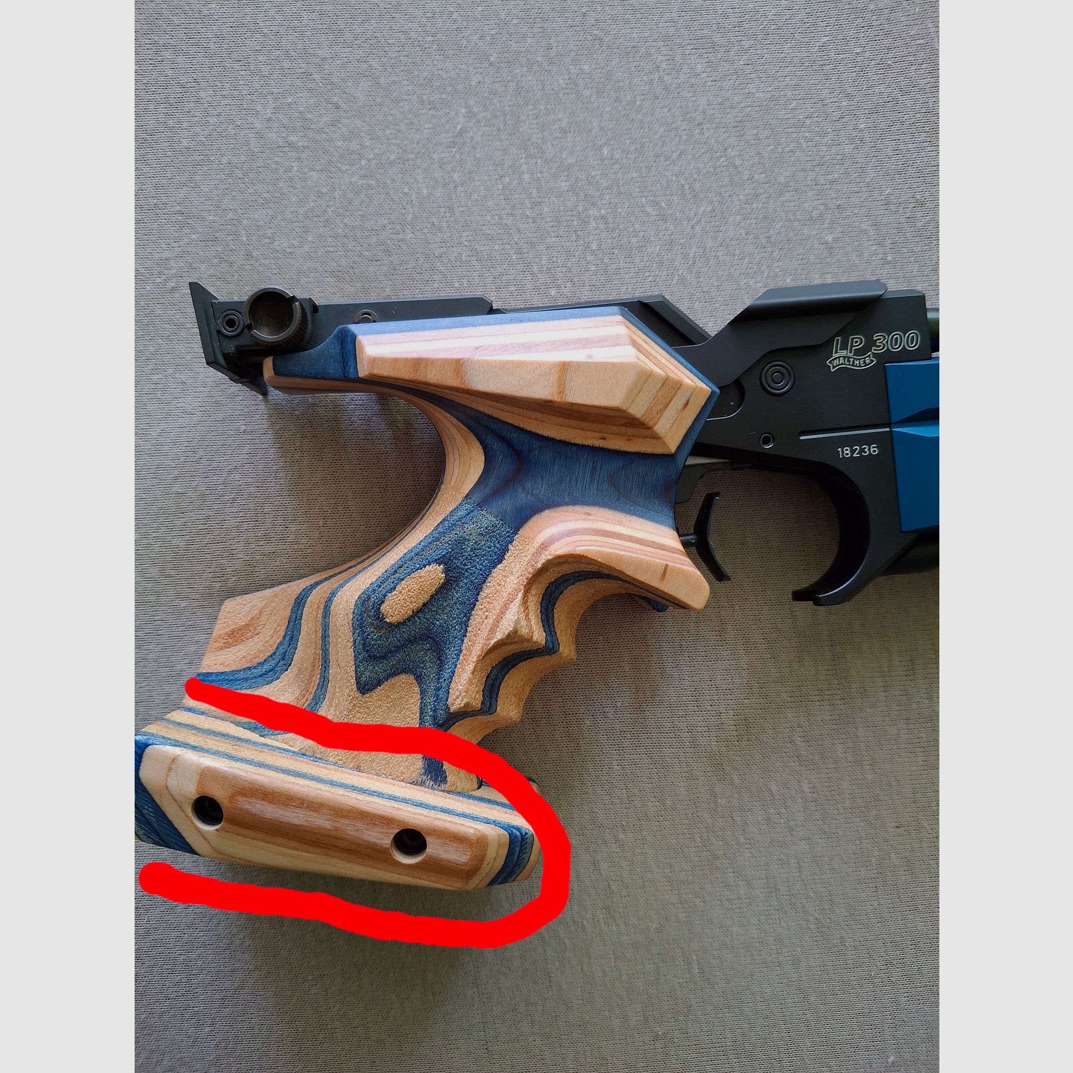 Walther LP 300