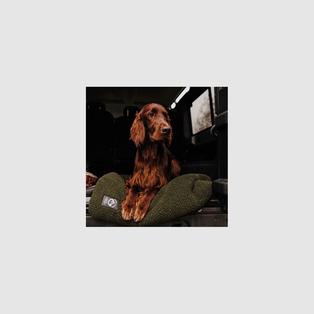 Farm-Land Hundedecke Faserpelz 70x100cm verschiedene Farben