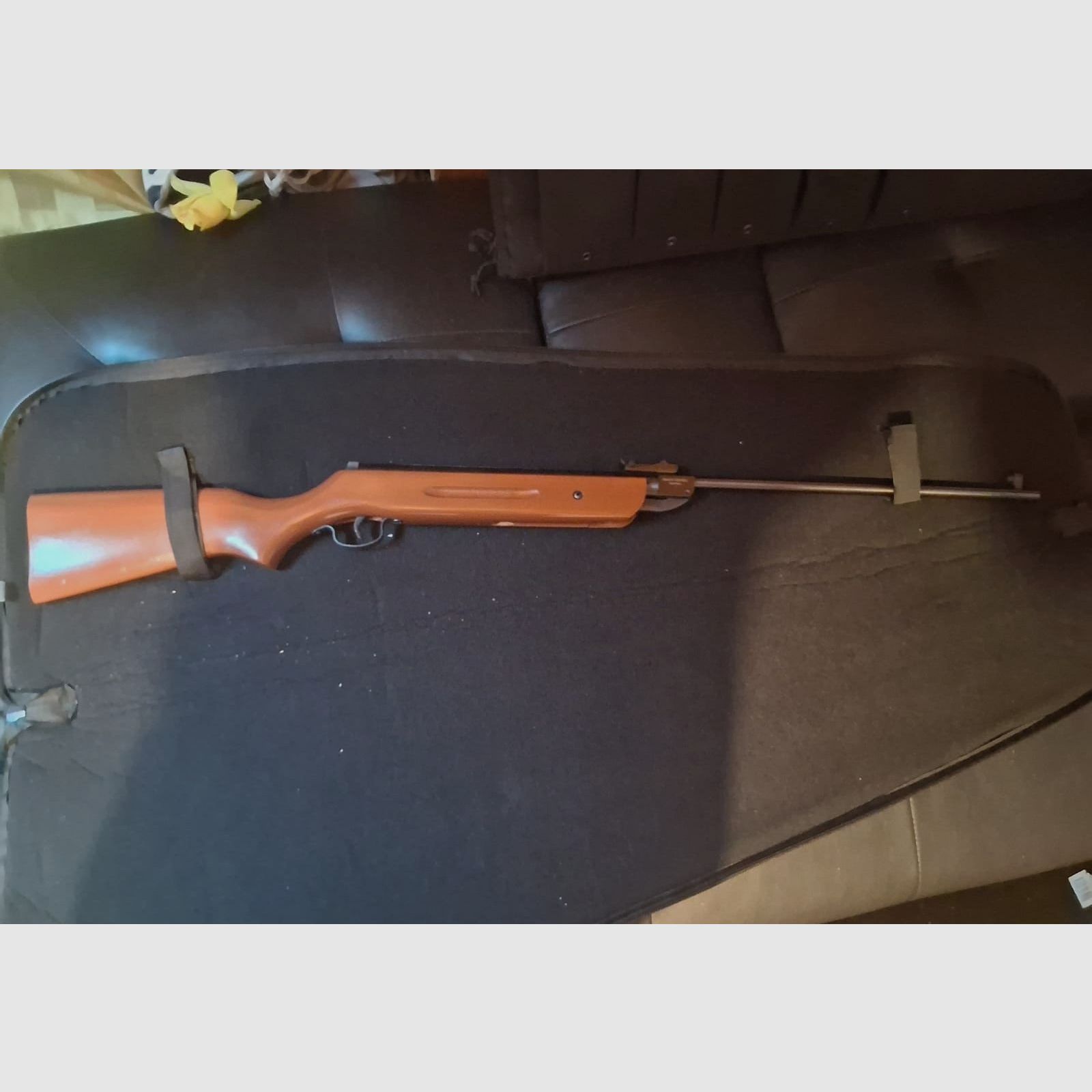 Fucile ad aria compressa per principianti