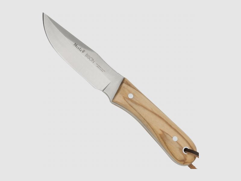 Muela Knife Bison Olive Wood, image 1 of 2
