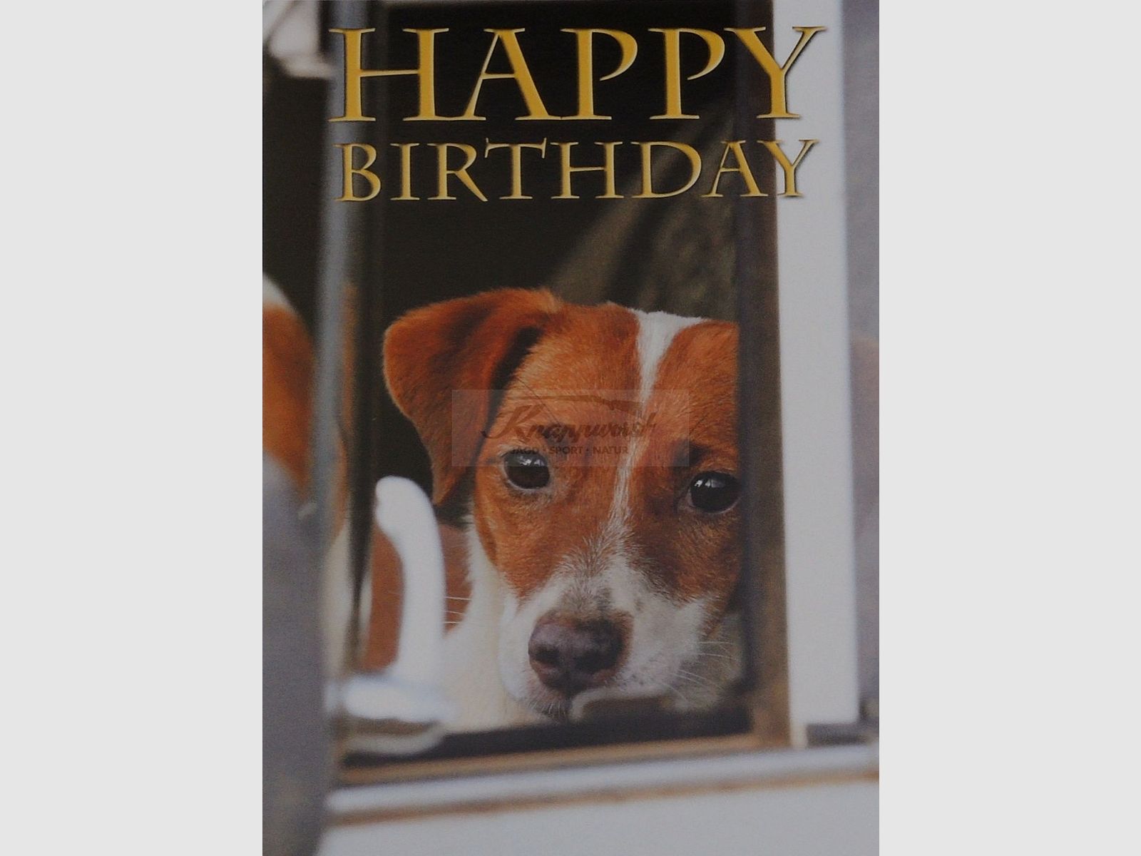 Geburtstagskarte Jack Russell
