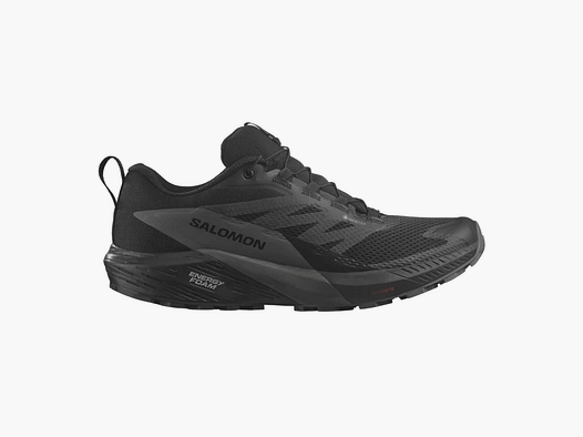 SALOMON – MĘŻCZYŹNI – SENSE RIDE 5 GTX Czarny/Magnet/Czarny